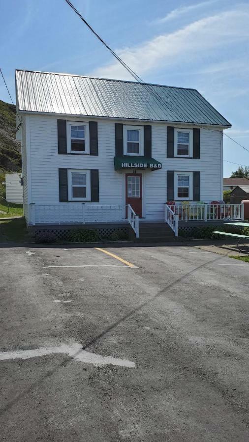 Hillside B&B Twillingate Extérieur photo