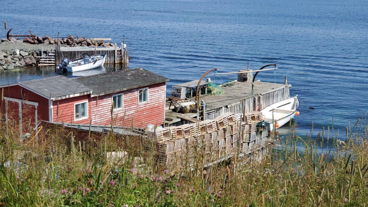 Hillside B&B Twillingate Extérieur photo