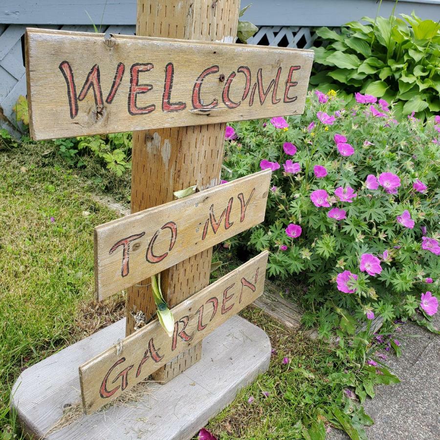 Hillside B&B Twillingate Extérieur photo