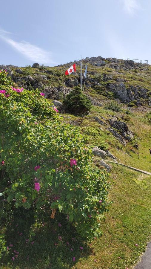 Hillside B&B Twillingate Extérieur photo